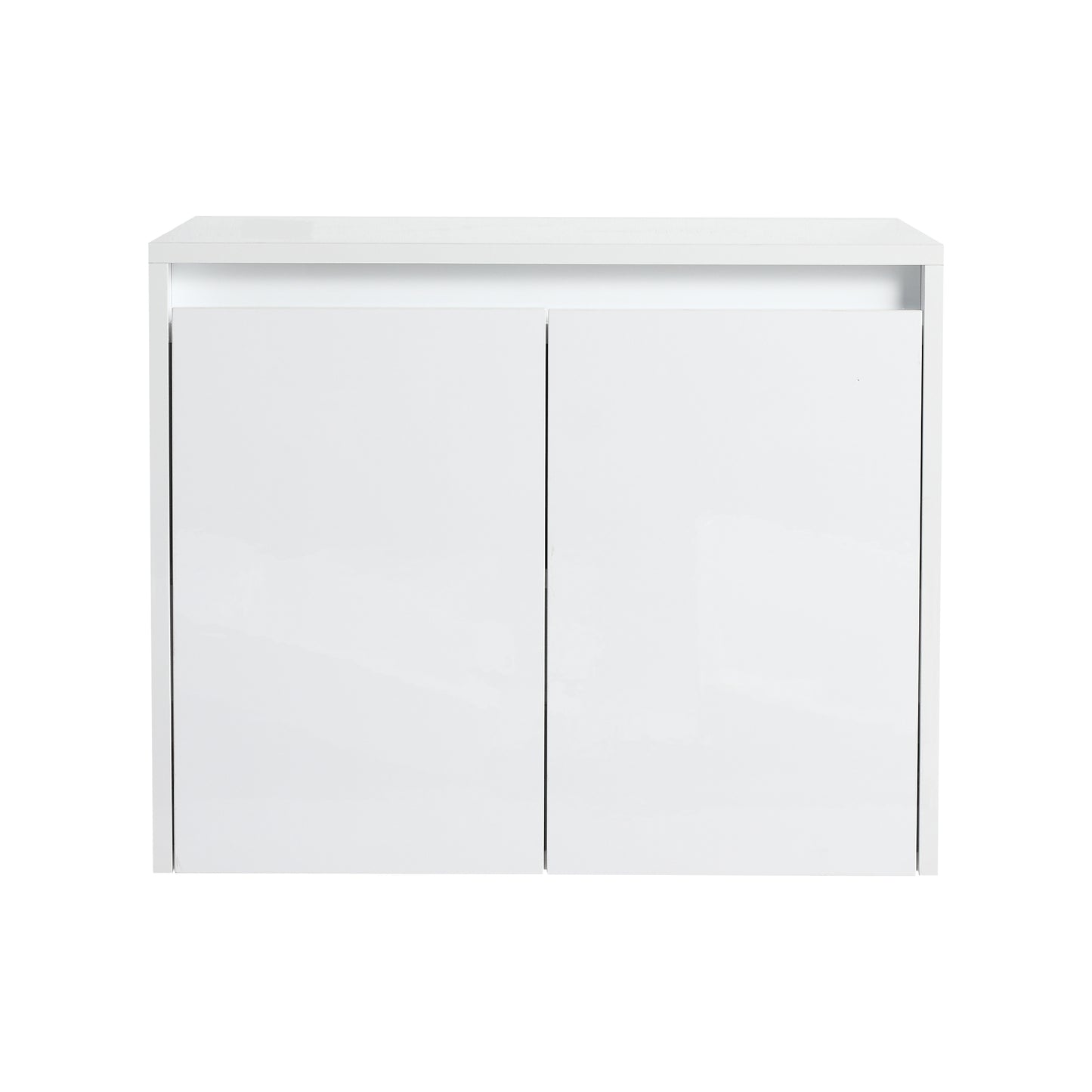 Cube 24" Bathroom Wall Cabinet (RTA)