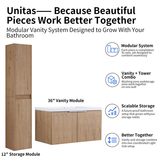 Unitas 24"/30"/36" Floating Vanity Set (RTA)