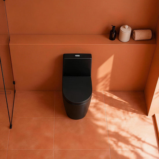Floor-Mounted One-Piece Toilet