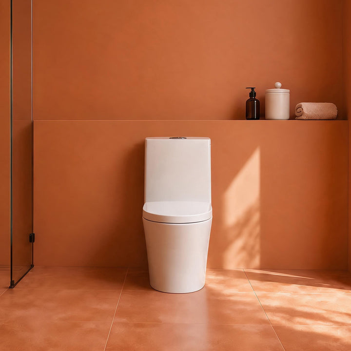 Floor-Mounted One-Piece Toilet