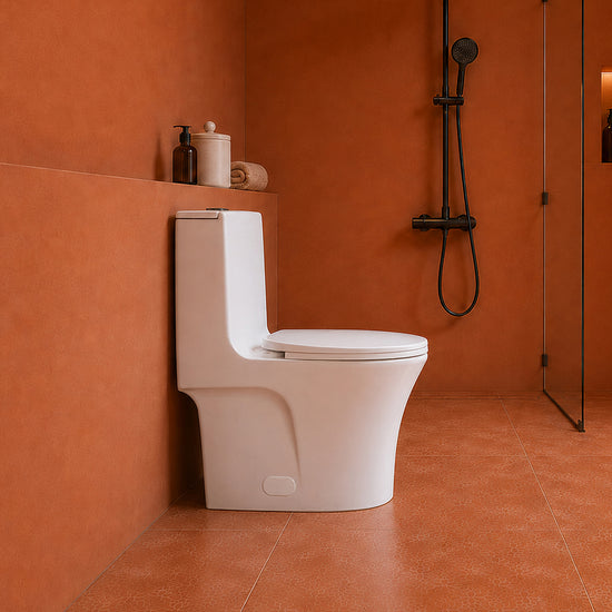 Floor-Mounted One-Piece Toilet
