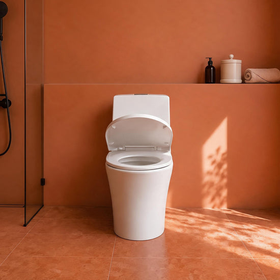Floor-Mounted One-Piece Toilet